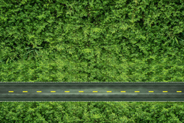 ESG, Zero Carbon Emission and Environmental Care Concept. Top View of Road in Green Season. Environmental and Business Growth Together. Sustainable Resources stock photo