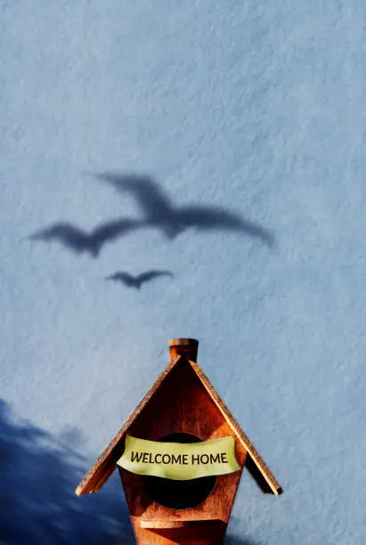 Family, Safety Zone, Love and Care Concept. Shadow of Bird Family back to a Birdhouse. Verical Image