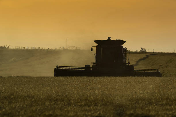 istock Harvester machine, harvesting in the Argentine countryside, 1390462013