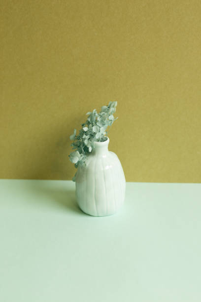 Vase of dry hydrangea flower on sky blue table. khaki wall background. home interior