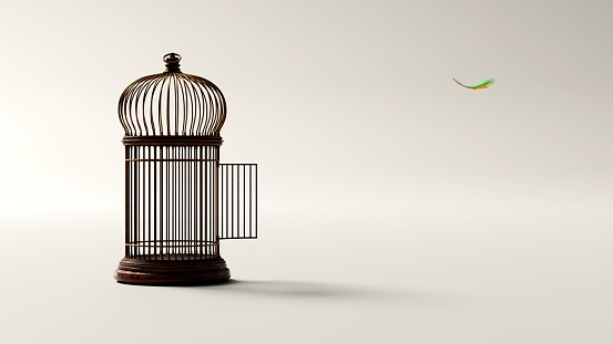 Escaping from the cage, freedom, a retro bird cage and a colorful feather