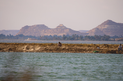 Irrigated fields along the Nile River ship in the background, Egypt.