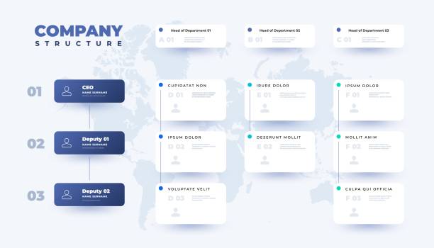 2203.m10.i020.n010.S.c15.1306787293 Business organization table. Company structure infographic template with corporate hierarchy elements. Vector illustration Business organization table. Company structure infographic template with corporate hierarchy elements. Vector illustration. CEO, head department, and deputy boxes with place for photo hierarchy stock illustrations