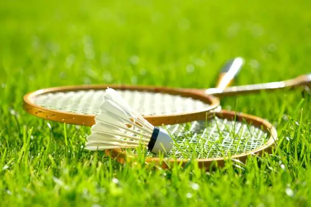 Outdoor recreation and fresh air. The sun's rays. Lawn for playing badminton.