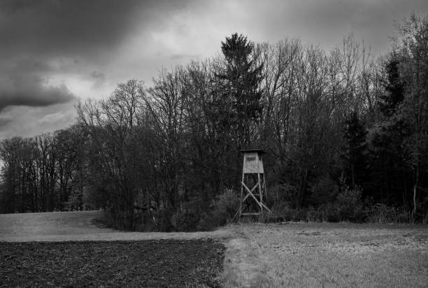 istock Raised Perch on the Forest Edge in Mostviertel, Lower Austria 1390474745