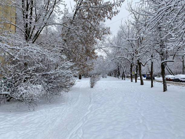 istock winter in city yard at cloudy day after snowfall 1390477749