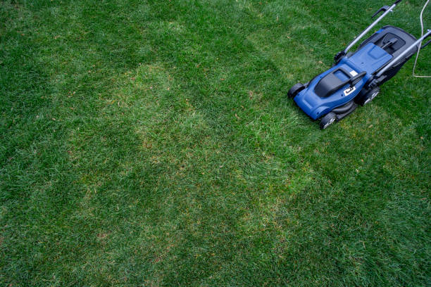 istock Blue electric lawn mower with cable on a green lawn 1390478861