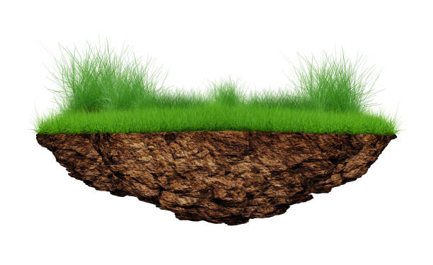 istock The floating island on white background. 1390478873