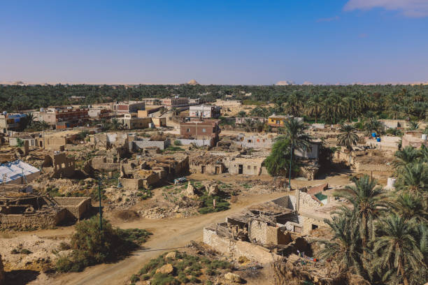 istock Panoramic View to the Oasis Siwa with Green Palm Trees around 1390479666