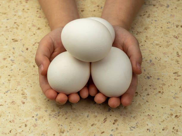 istock Beautiful white eggs in  child's hands. Top view. Close-up. Selective focus. Copy space. 1390480599