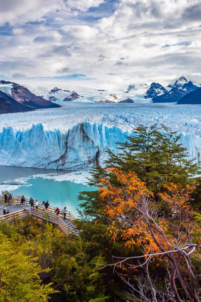 paysage en patagonie argentine - patagonia photos et images de collection