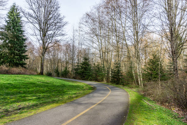 istock Trail At Washington Creek 1390486185