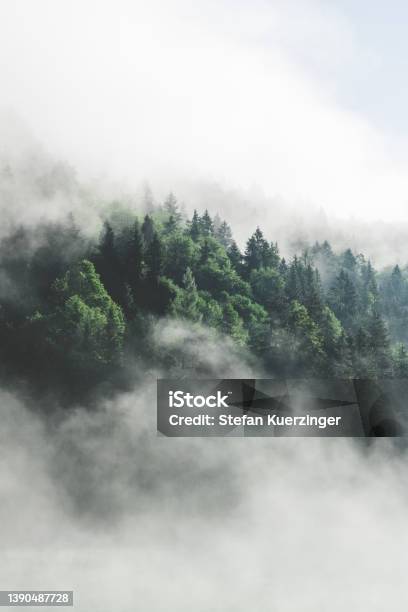 A Wonderful Magical Interplay Of Lowhanging Fog A Mountain Lake And A Beautiful Green Forest Stock Photo - Download Image Now