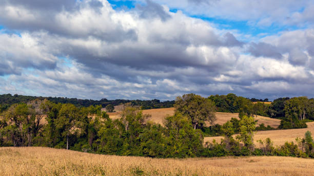 istock Scenic rural farmland landscape 1390494543