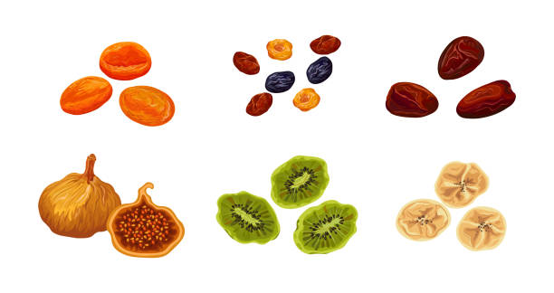 illustrations, cliparts, dessins animés et icônes de ensemble de fruits secs savoureux sur fond blanc. pêche séchée vectorielle, raisin sec, datte, figue, kiwi et banane dans le style dessin animé. - abricot sec