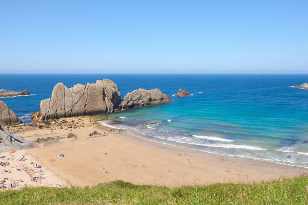 istock An extensive beach with transparent waters and surrounded by vegetation. 1390505997
