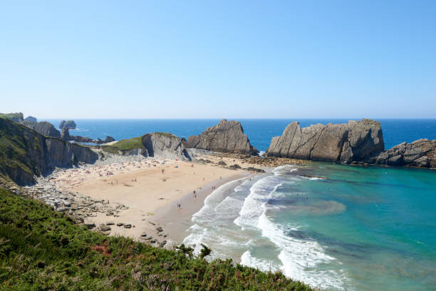 istock An extensive beach with transparent waters and surrounded by vegetation. 1390506016
