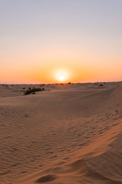 istock Desert sunset with empty dunes in Dubai or Abu Dhabi, United Arab Emirates 1390509739