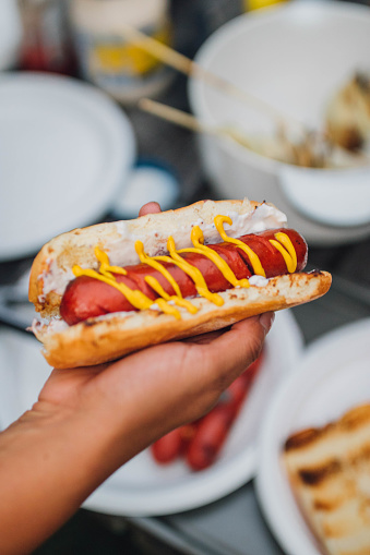 woman's hand holding a barbecued hot dog frank in bun with ketchup, mustard, mayo, camping outdoors in summertime