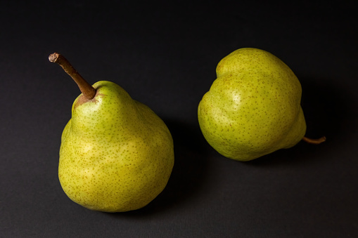 Two ripe green pears on a dark background, late november pear variety. Whole fruits