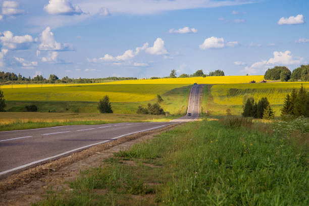 Country Road Landscape In Summer stock photo