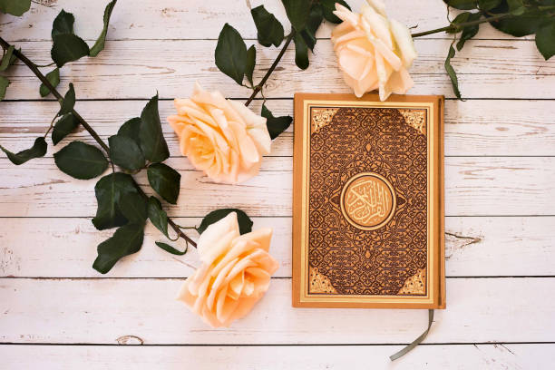 Quran - the holy book of Muslims. Roses. stock photo