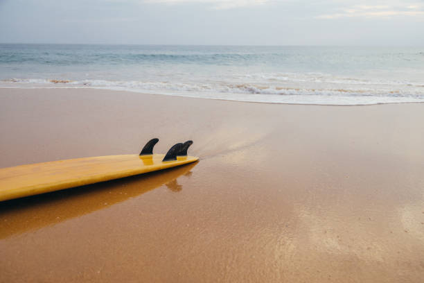 istock Surfboard lying on the sand beach in front of ocean waves. 1390519427