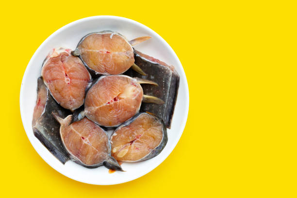 istock Catfish cut pieces on yellow background. 1390521847