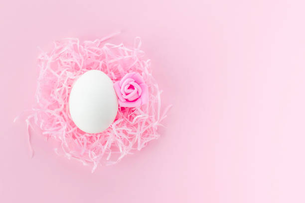 istock Easter egg in the nest. Easter background.Postcard with space for text in pink, toned 1390531027