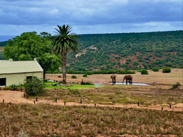 istock Stunning image from a safari in Africa 1390535611