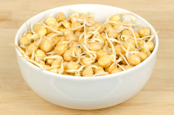 istock Chickpea sprouts, in a white bowl, on a bamboo board 1390541647