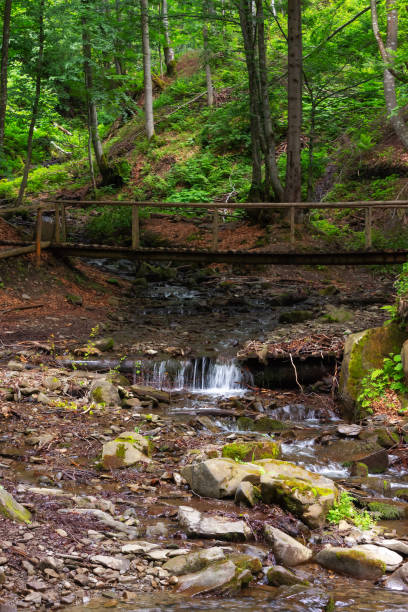 istock wooden bridge over the brook 1390541855