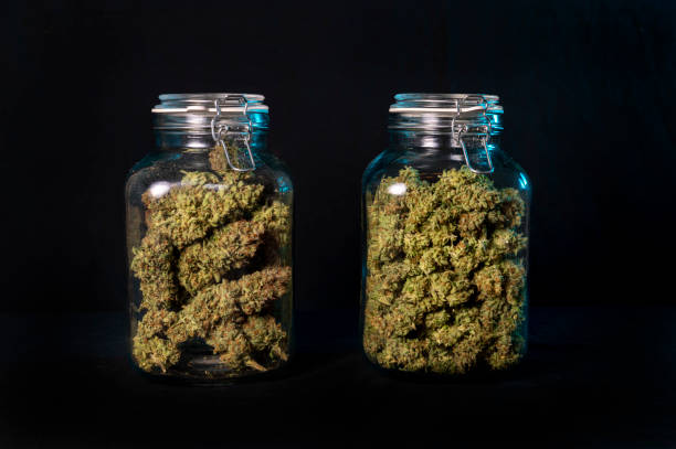 istock Dried cannabis buds stored in a glass jar 1390545021