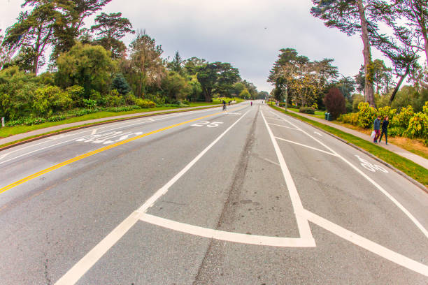 San Francisco, United States - March 03 2013: The extreme avenues that go through the golden gate park in san francisco.