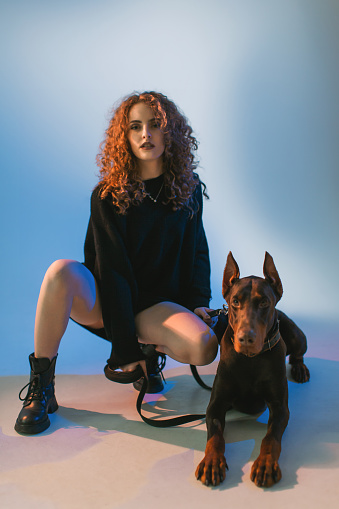 Curly redhead girl with pedigree doberman in collar in studio on blue background looks at camera. Fashion model. Beauty portrait. Long hair. Pet. Dark dog. Gothic. Color lighting. Art and creativity