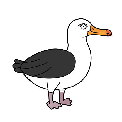 Cute cartoon vector illustration of an albatross