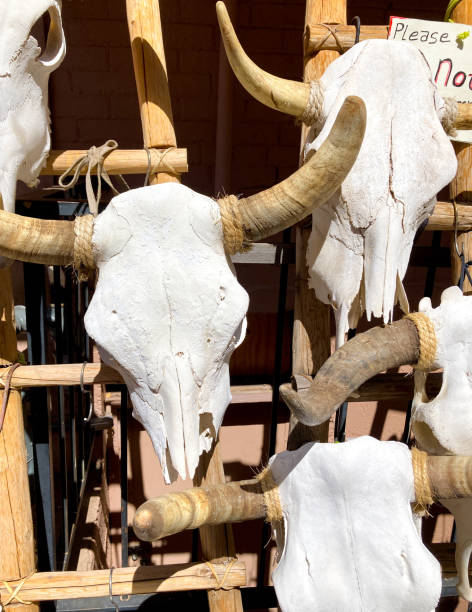 istock Santa Fe Style: Retail Display of Cow Skulls 1390555322