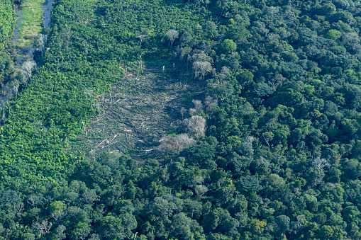 Aerial view of an area of the amazon rainforest in Brazil, showing vegetation, river and some human interventions (deforestation).