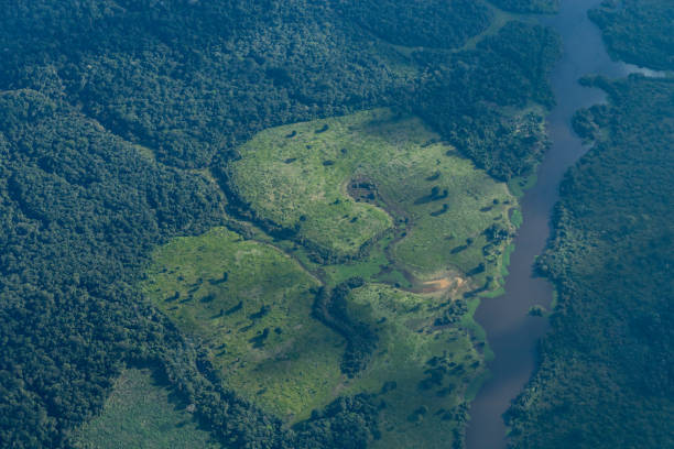 Area of the amazon rainforest with deforestation