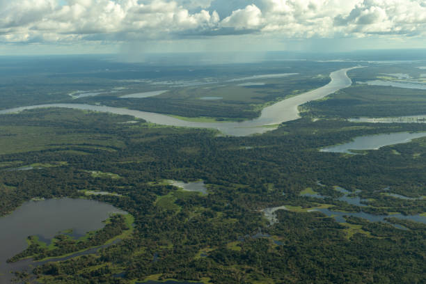istock Brazilian Amazon rainforest and rivers 1390555439