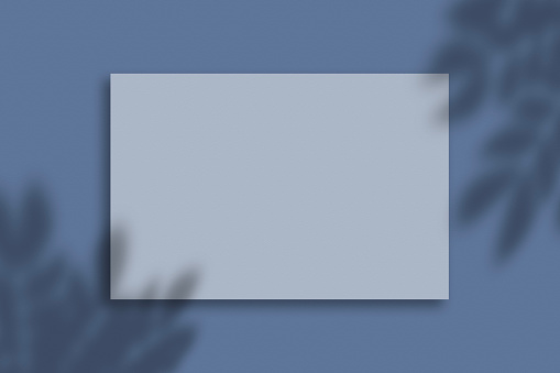 Top view blank business card mockup with leaf shadows overlays on blue background.