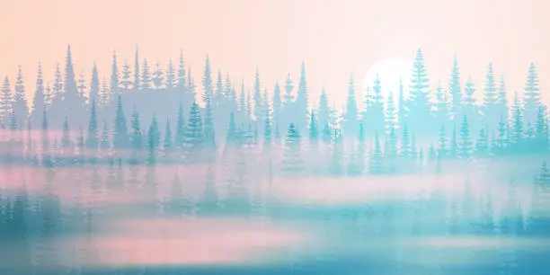 Vector illustration of Coniferous forest in the morning fog, orient sun, landscape