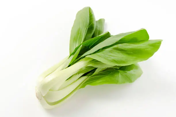 Bok choy (Chinese cabbage) on a white background
