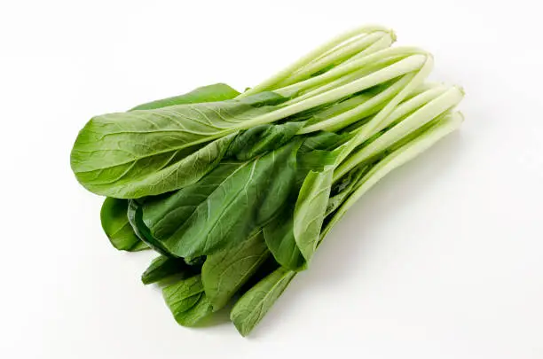 komatsuna, Japanese Mustard Spinach on White Background