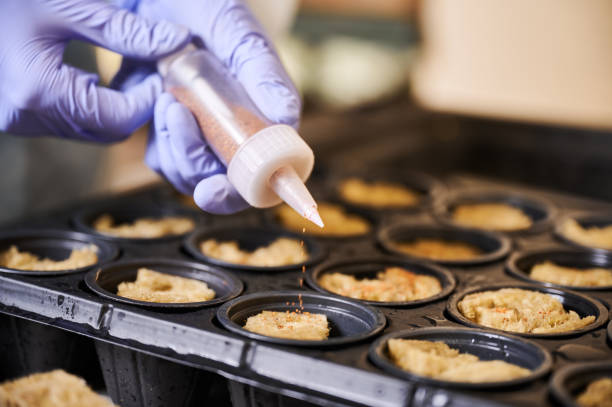 istock Gardener hands planting seeds with seed sowing syringe. 1390585386