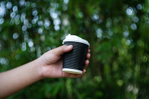 hand holding paper cup of take away drinking coffee on green trees in the background.