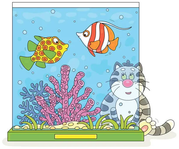 Vector illustration of Funny cat watching fishes in a home aquarium