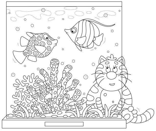65 Cartoon Of A Fat Black And White Cat Illustrations & Clip Art - iStock 65 Cartoon Of A Fat Black And White Cat Illustrations & Clip Art - iStock