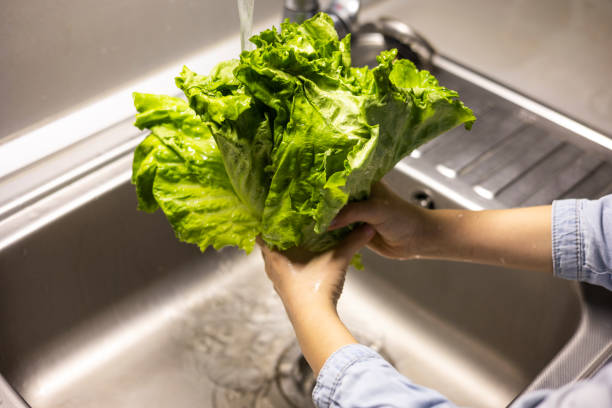 istock kids hands washing Green lettuce leaves in the kitchen 1390594424