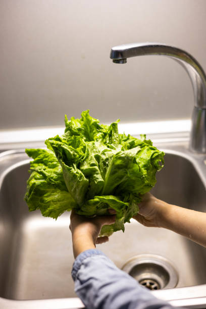 istock kids hands washing Green lettuce leaves in the kitchen 1390594426